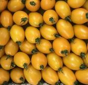 томаты желтые сливка оптом купить